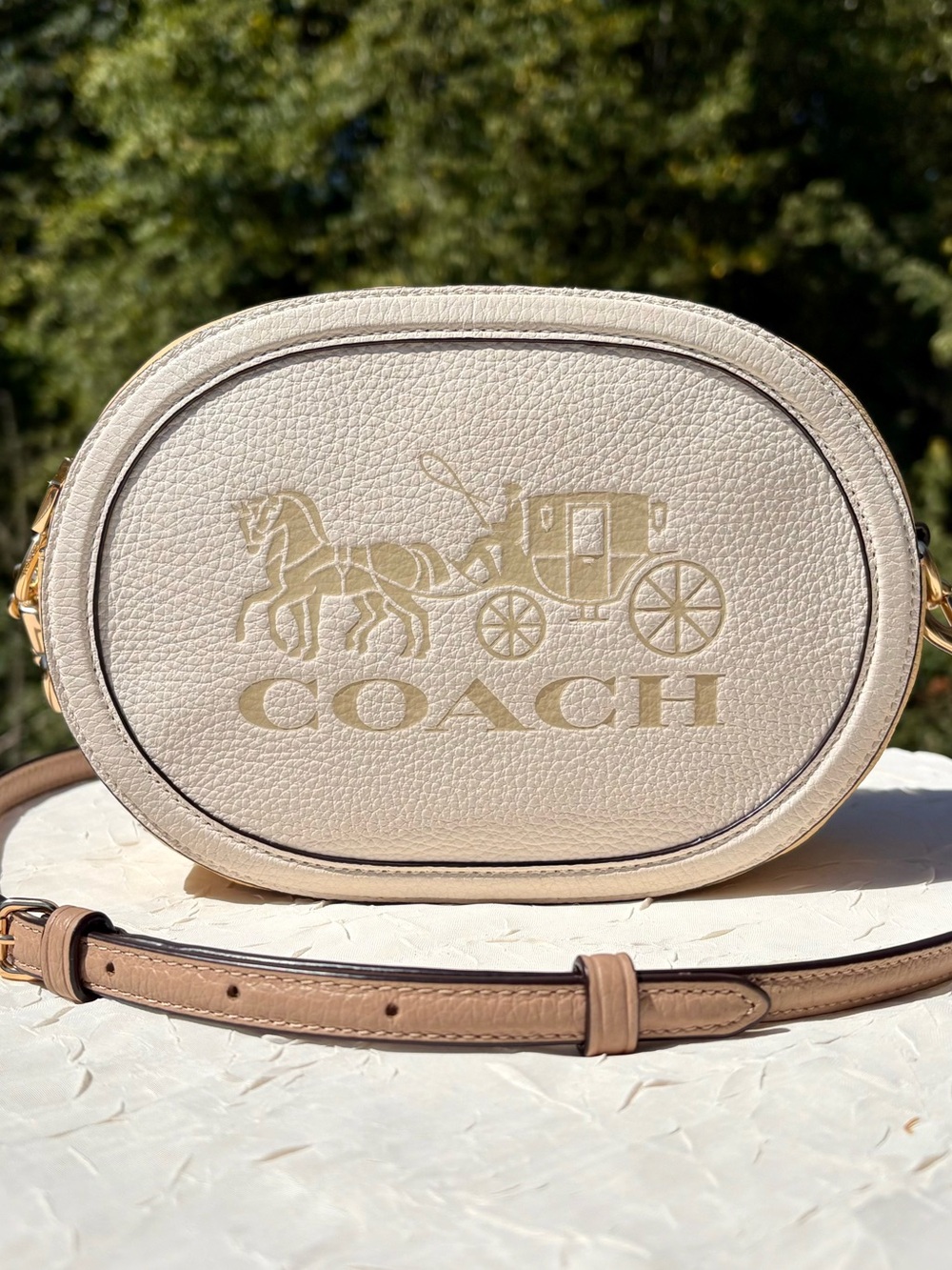 COACH Camera Bag With Horse And Carriage C4164